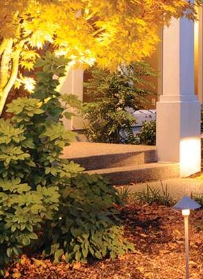 Landscape Lighting Installation